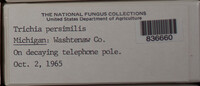 Image Associated With the Occurence